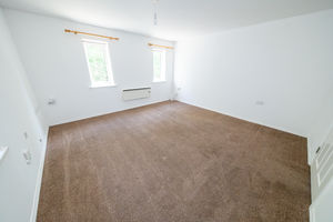 Billys Copse